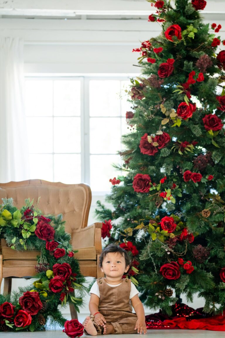 Holiday Studio 2025