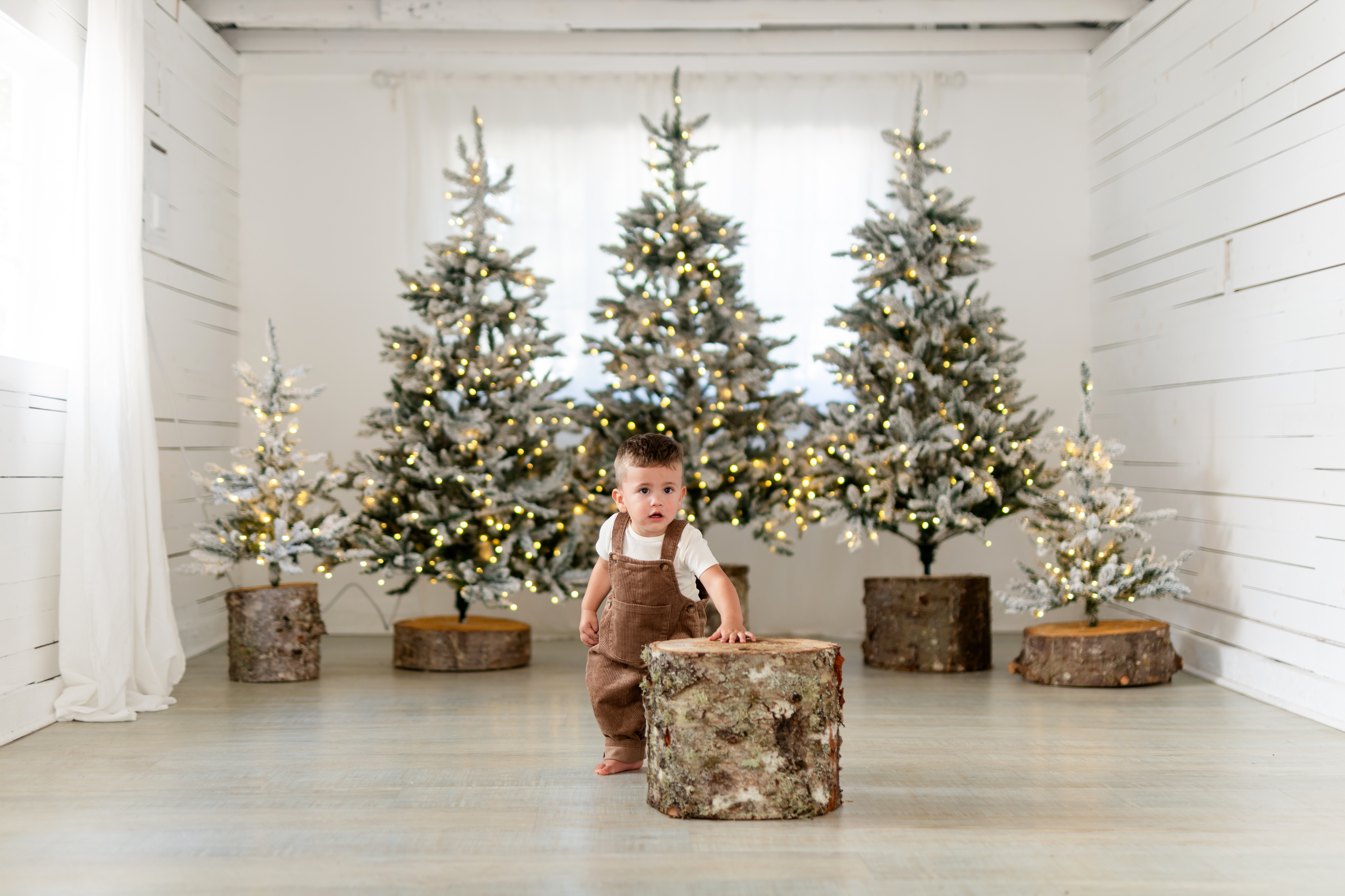 Holiday Studio 2026